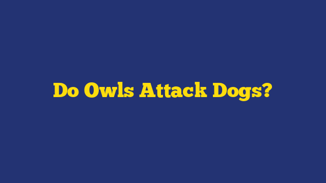 Do Owls Attack Dogs?