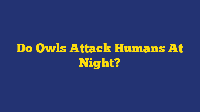 Do Owls Attack Humans At Night?