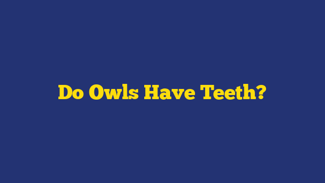 Do Owls Have Teeth?