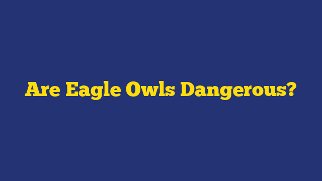 Are Eagle Owls Dangerous?
