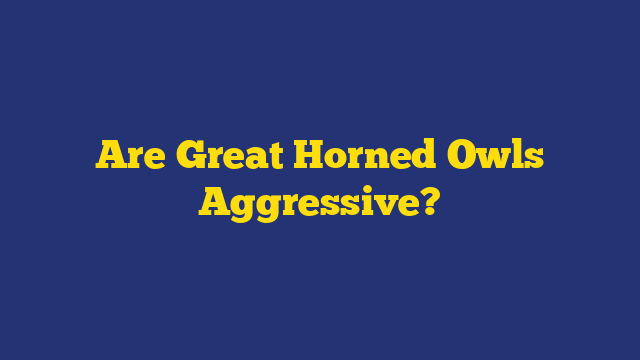 Are Great Horned Owls Aggressive?
