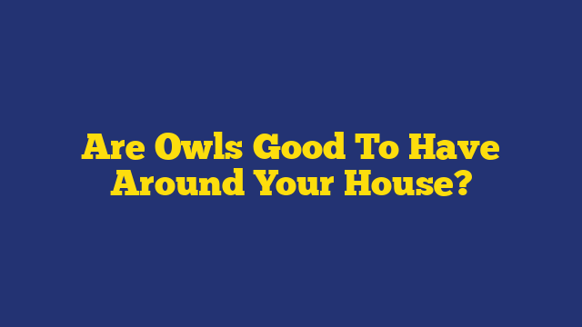 Are Owls Good To Have Around Your House?
