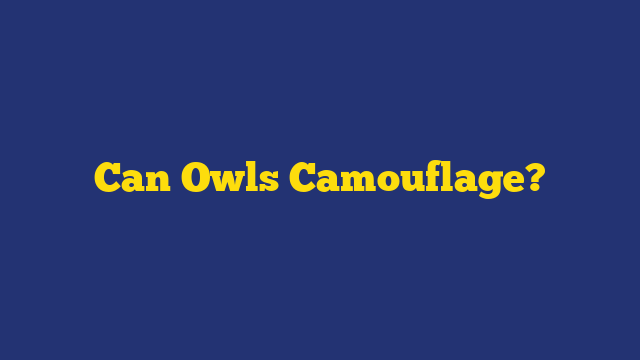 Can Owls Camouflage?