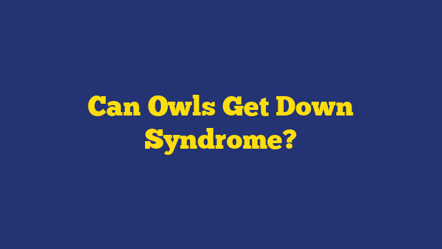 Can Owls Get Down Syndrome?