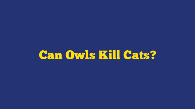 Can Owls Kill Cats?