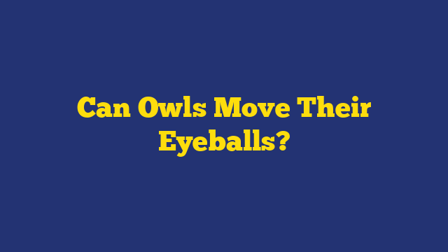 Can Owls Move Their Eyeballs?
