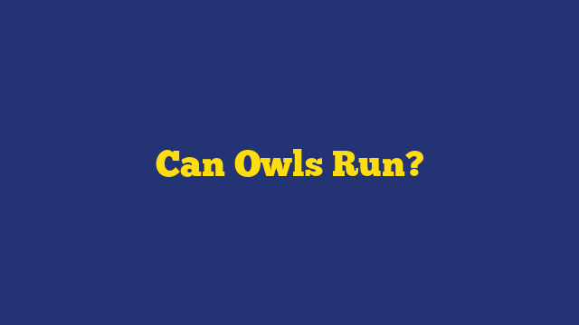 Can Owls Run?