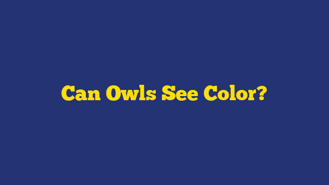 Can Owls See Color?