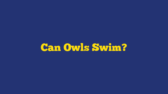 Can Owls Swim?