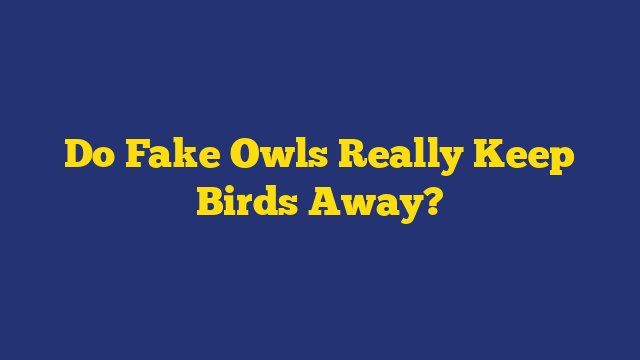 Do Fake Owls Really Keep Birds Away?
