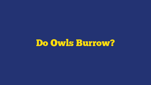 Do Owls Burrow?