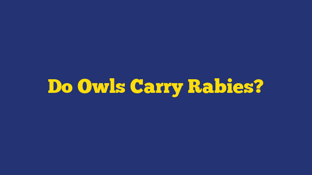 Do Owls Carry Rabies?