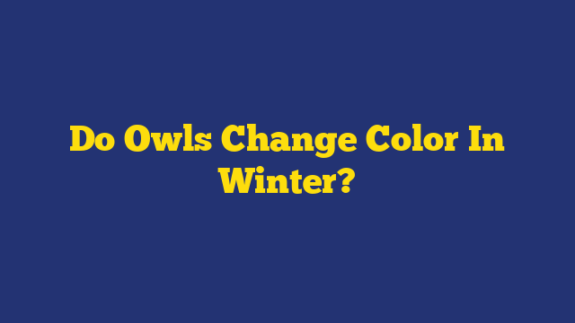 Do Owls Change Color In Winter?