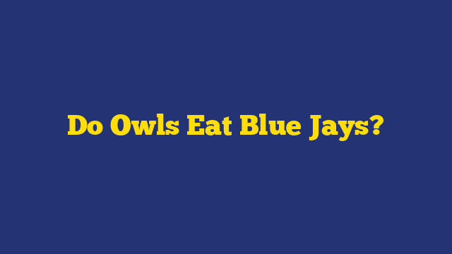 Do Owls Eat Blue Jays?