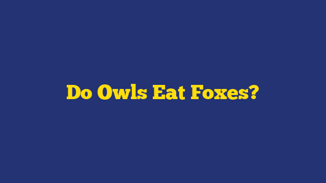 Do Owls Eat Foxes?