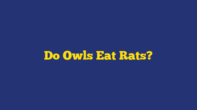 Do Owls Eat Rats?