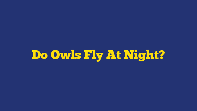 Do Owls Fly At Night?