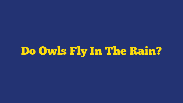 Do Owls Fly In The Rain?