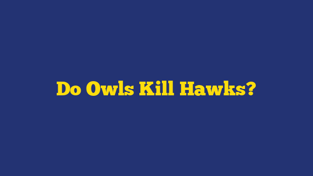Do Owls Kill Hawks?