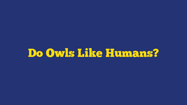 Do Owls Like Humans?