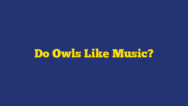 Do Owls Like Music?