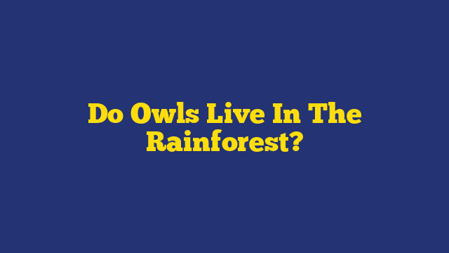 Do Owls Live In The Rainforest?