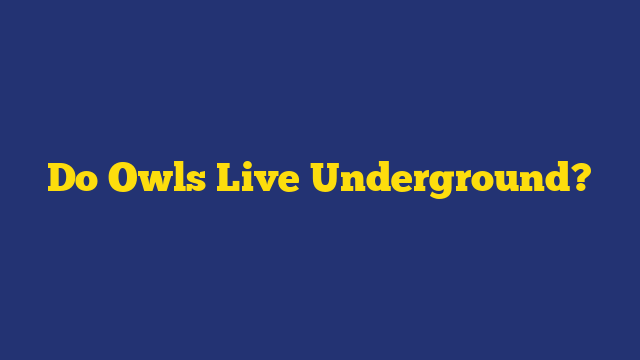 Do Owls Live Underground?