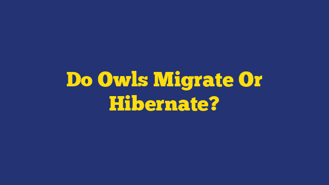 Do Owls Migrate Or Hibernate?