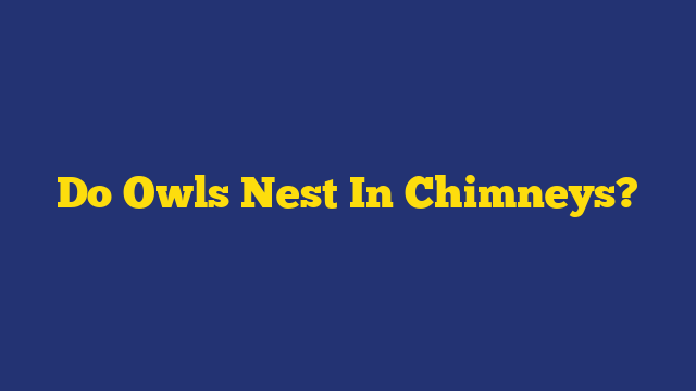 Do Owls Nest In Chimneys?