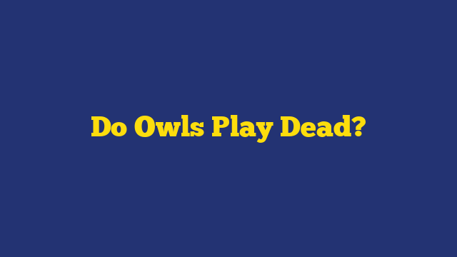 Do Owls Play Dead?