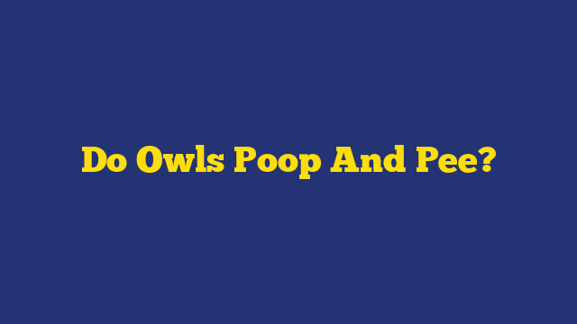 Do Owls Poop And Pee?