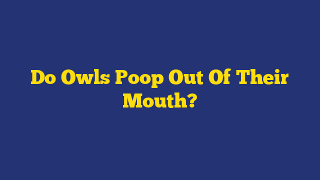 Do Owls Poop Out Of Their Mouth?