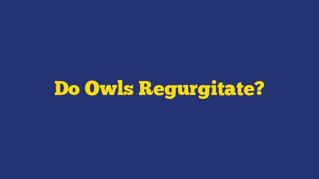 Do Owls Regurgitate?