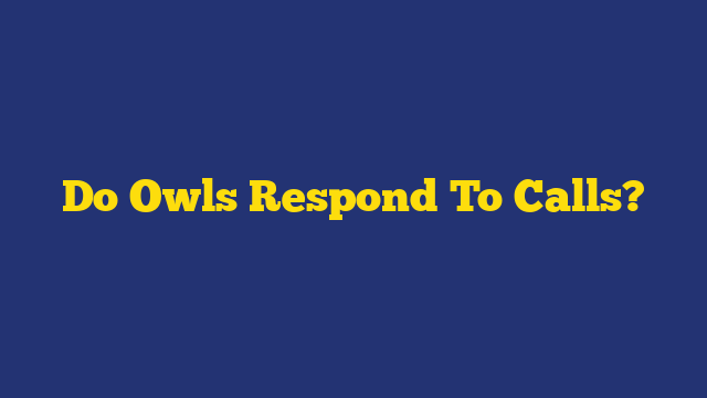 Do Owls Respond To Calls?