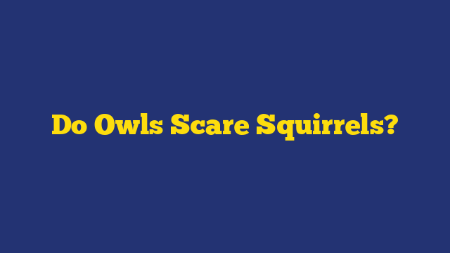 Do Owls Scare Squirrels?