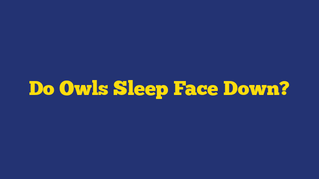 Do Owls Sleep Face Down?