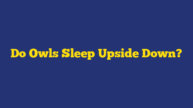 Do Owls Sleep Upside Down?