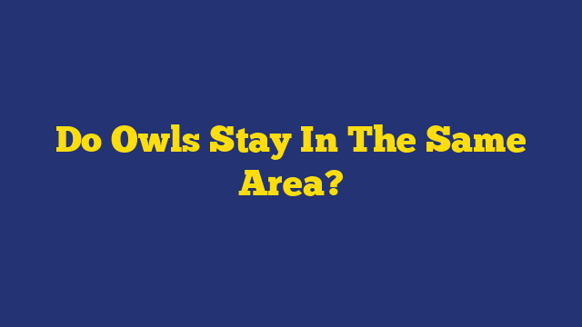 Do Owls Stay In The Same Area?