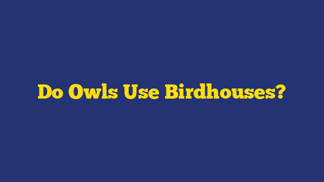 Do Owls Use Birdhouses?