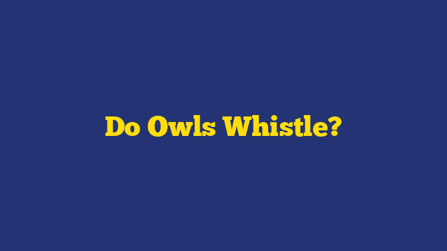 Do Owls Whistle?
