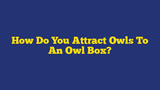 How Do You Attract Owls To An Owl Box?