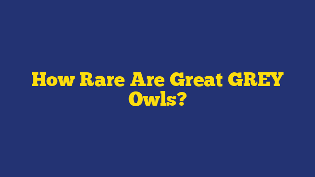 How Rare Are Great GREY Owls?