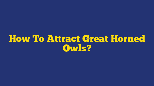 How To Attract Great Horned Owls?
