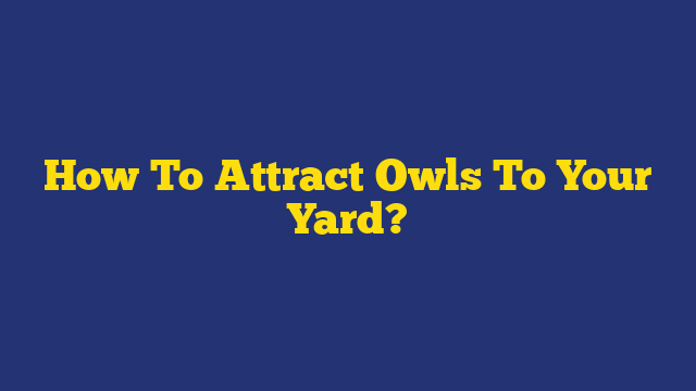 How To Attract Owls To Your Yard?