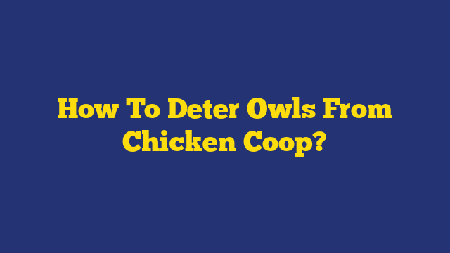 How To Deter Owls From Chicken Coop?