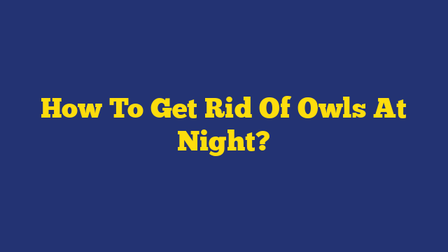 How To Get Rid Of Owls At Night?