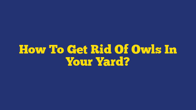 How To Get Rid Of Owls In Your Yard?