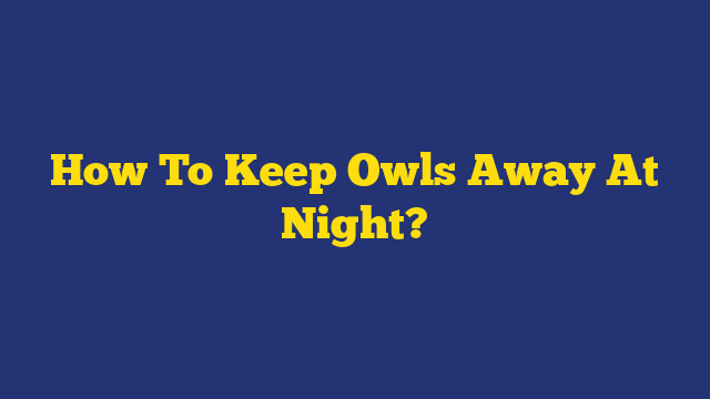 How To Keep Owls Away At Night?