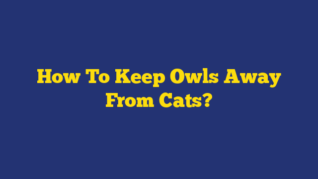 How To Keep Owls Away From Cats?