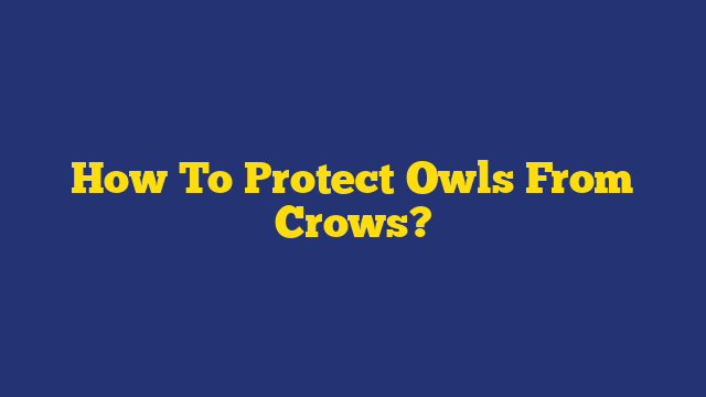 How To Protect Owls From Crows?